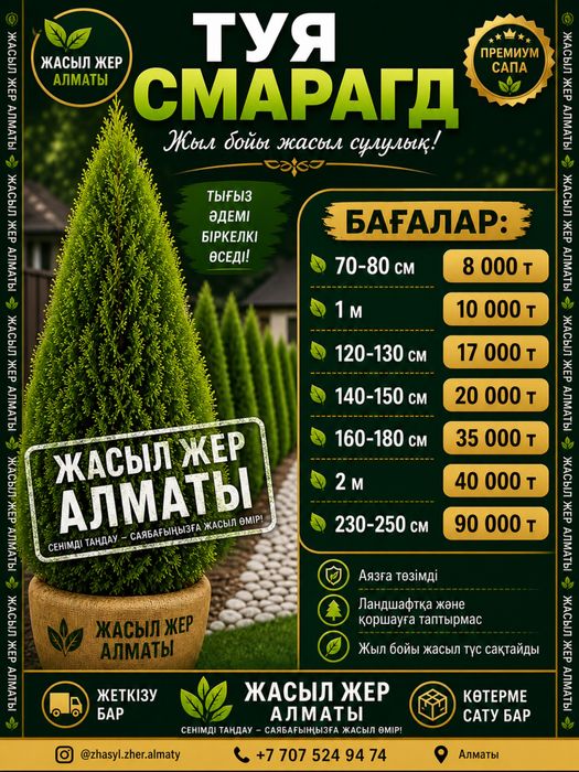 Туя колонавидный смарагд