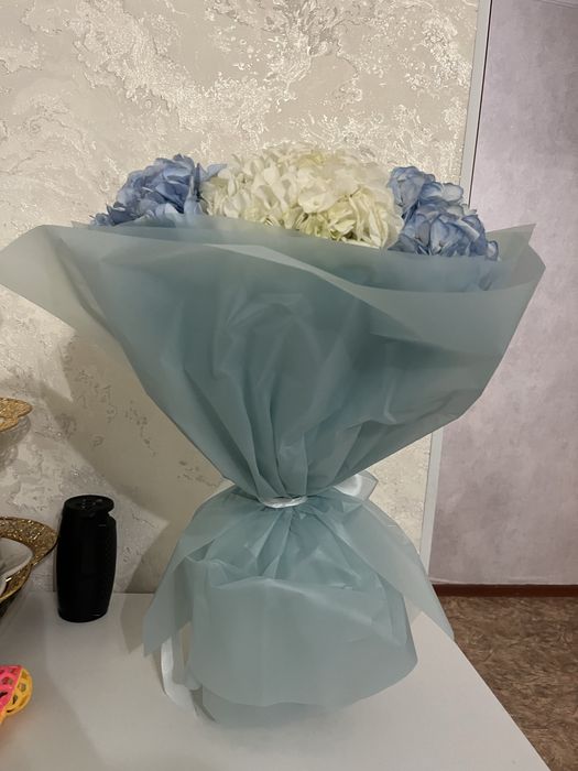 Свежий гул бугин келген