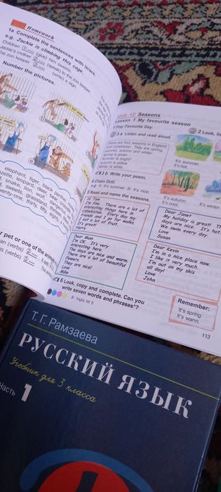 Английский и Русский язык