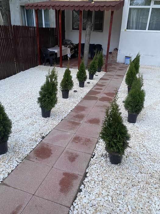 2+1 daire, 50 m²