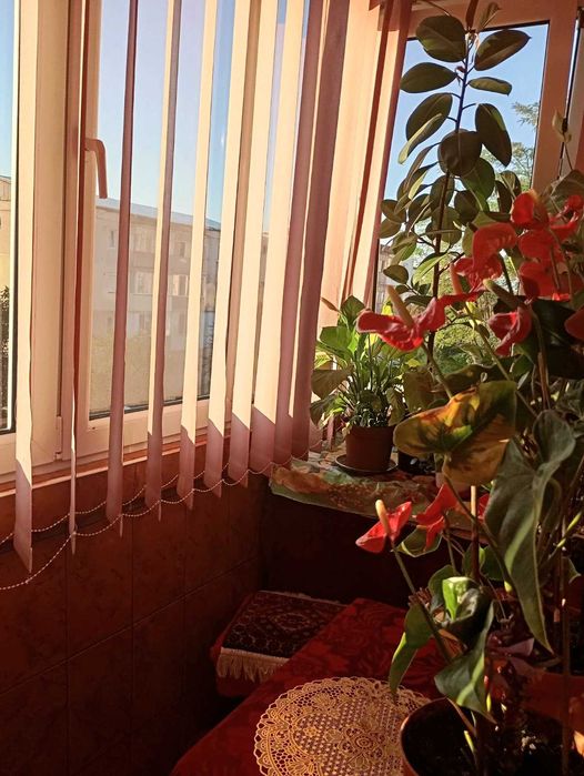 Vand apartament 3 camere