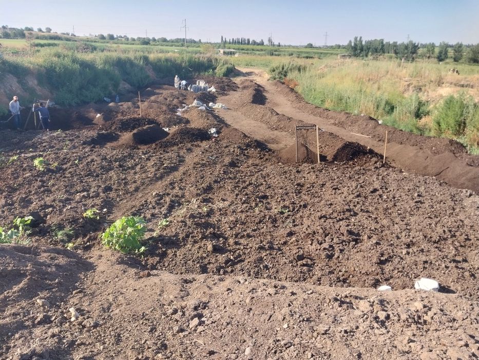 Biogumus optom yillik ogit sifati zor