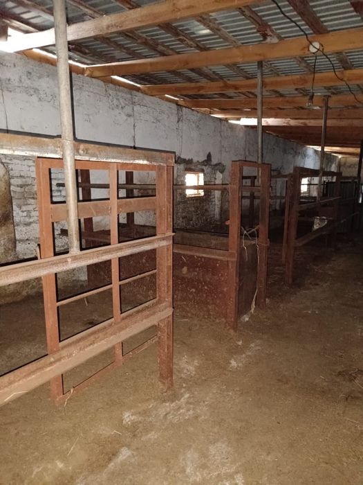 Продам животноводческое хозяйство