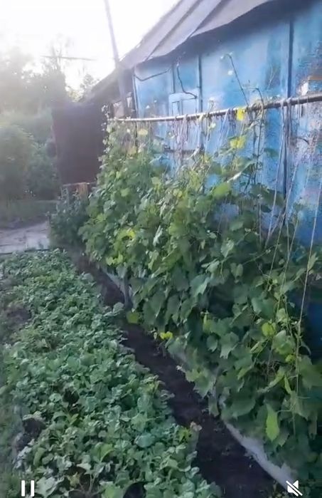 Продам дачу на Мирном
