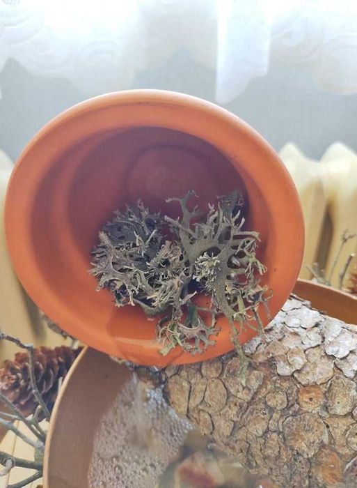 Фонтан - горски с бухал - НАМАЛЕН