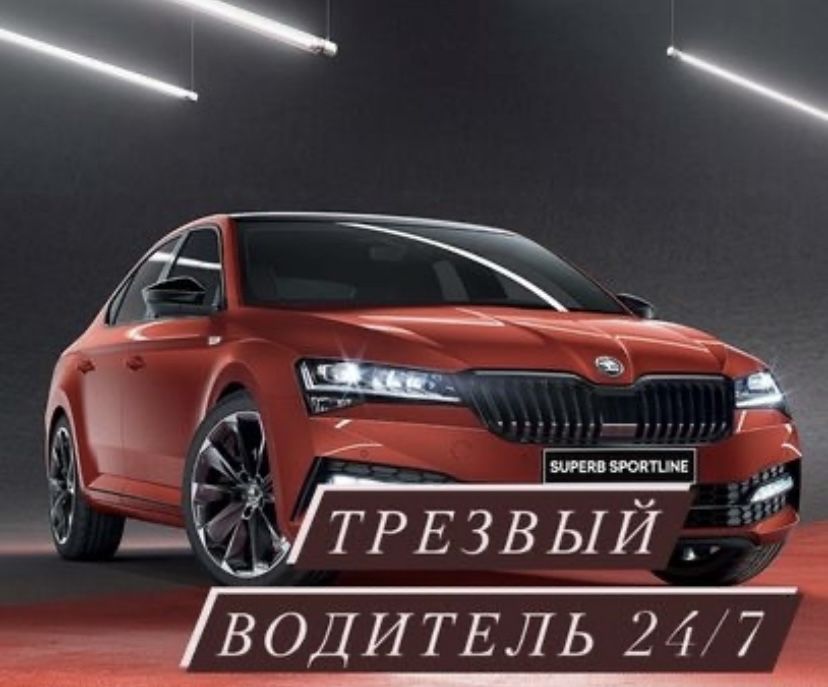 Трезвый водитель