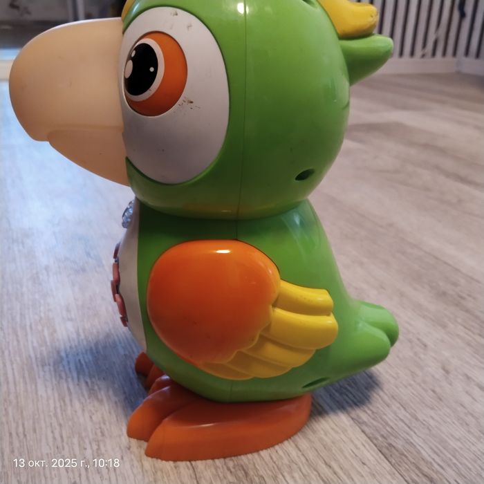 говорящий попугай.