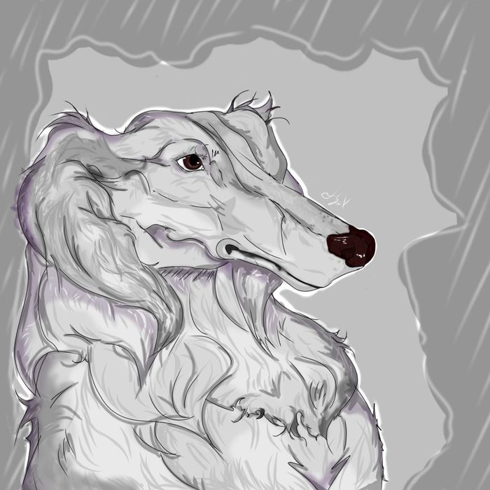 Custom Animal Digital Art | Pet Portrait