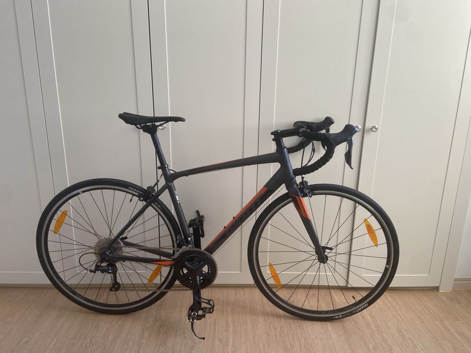 Giant Contend 1 2025