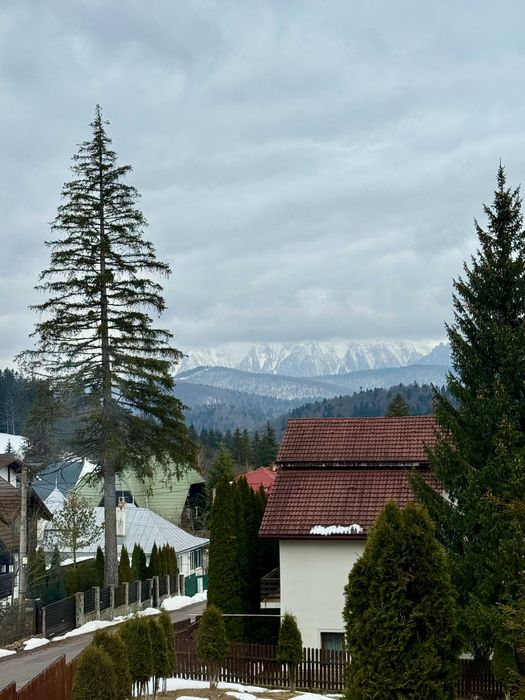 Vila Offline- Predeal, inchiriez vila petreceri vedere Partie Schi