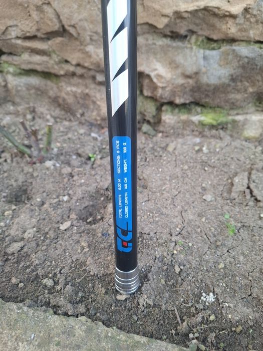 Болонеза Insigna 6m.