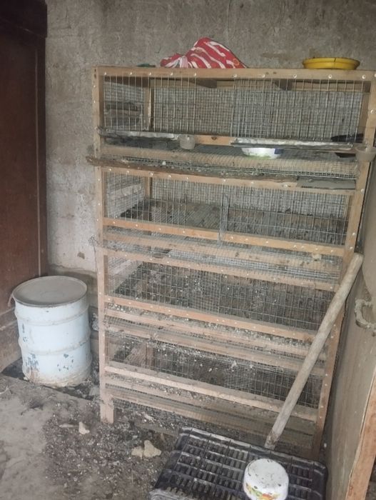 Bedana ga in4qavatli pishigʻ yasalgan 600min azgina kelishamiz