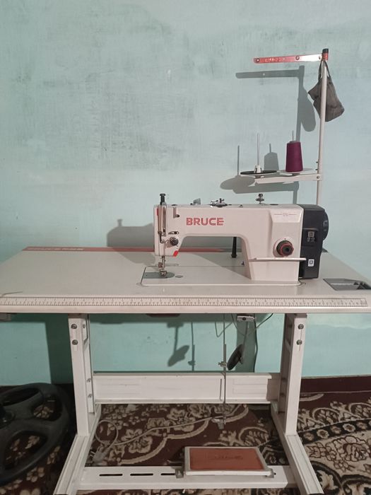 Bruce nomi holati yangi