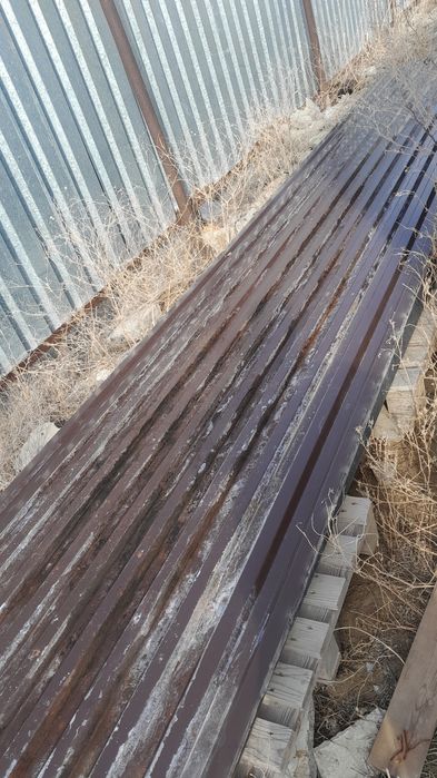 Проф лист қалың россия шарбакта тұрған