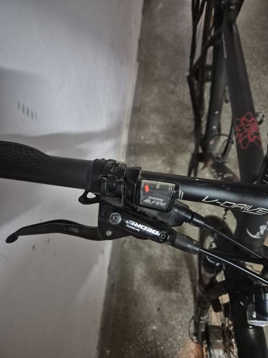 Bicicleta Berner Bergziege - Alfine11