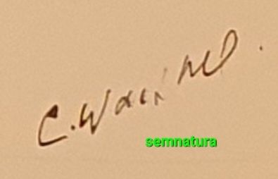 Gravuri cu semnatura