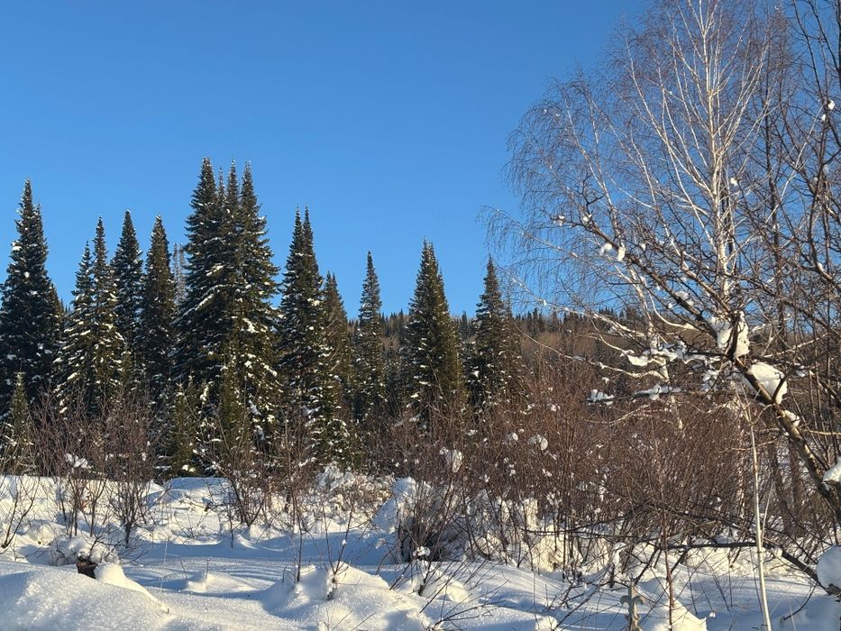 Дом в лесу Топиха