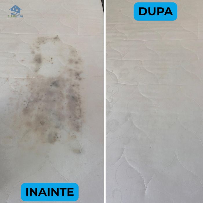 Curăț canapele, saltele, fotolii – rezultate garantate București/Ilfov