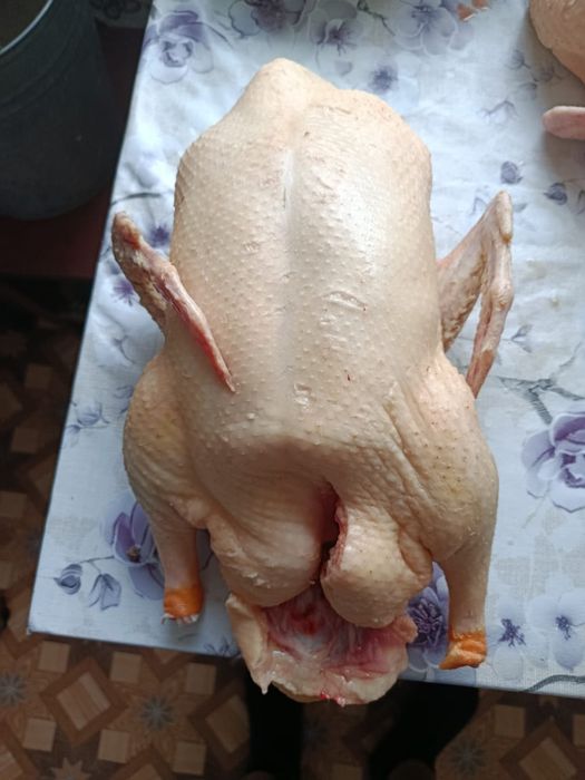 Продам уток домаших, разделанные