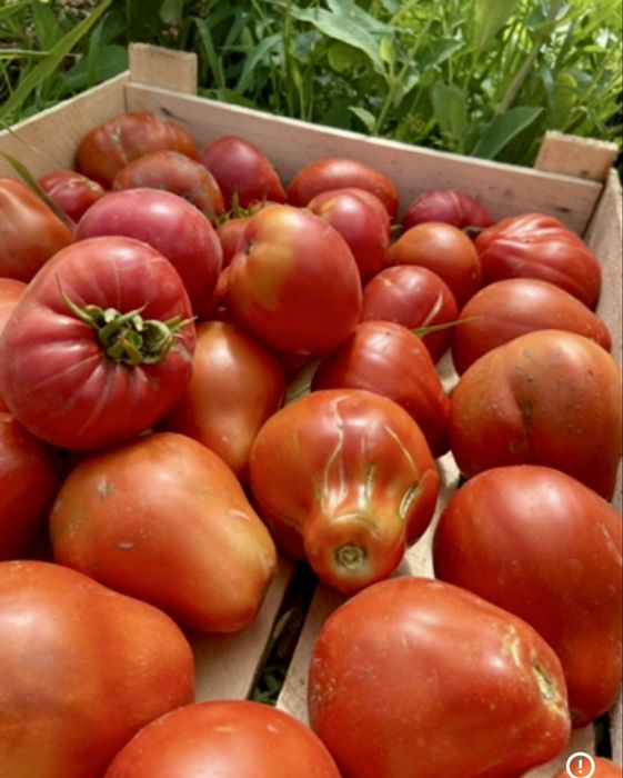 ДАЧА МЕДЗАВОД. баня, гараж,