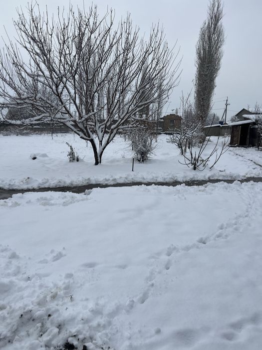 Арзон Йер сотилади Фуд сити