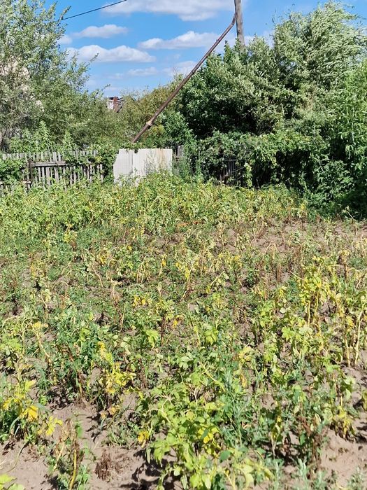 Продам дачу 7,5 соток