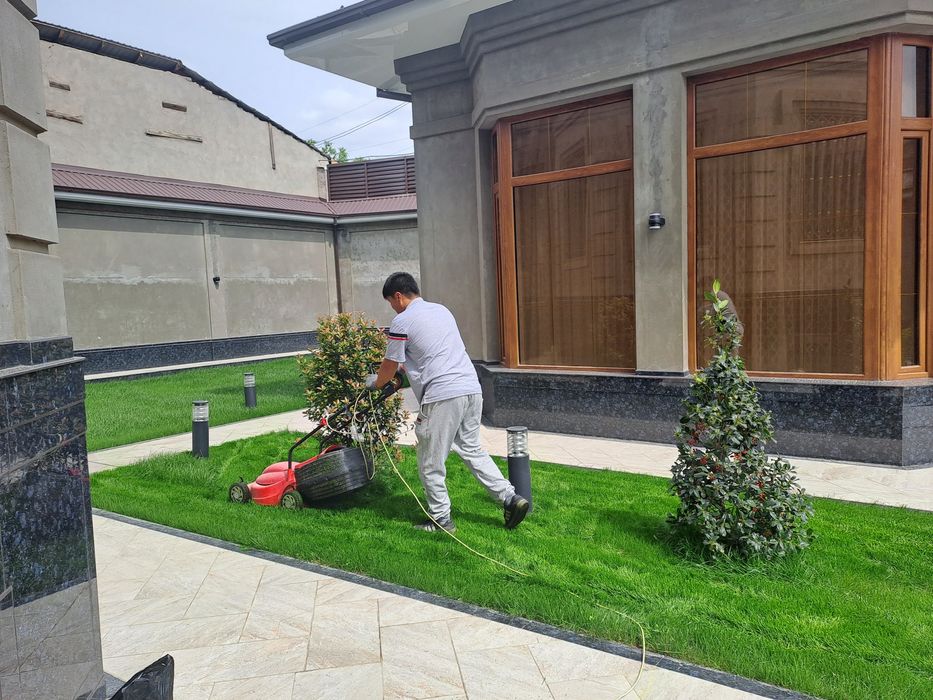 Газон экиш Автополивное система и газон