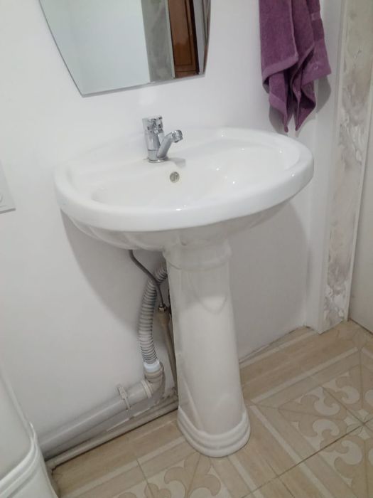 продам тюльпан новый