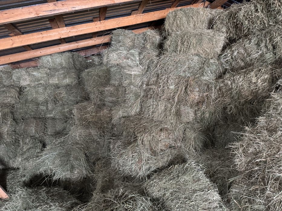 Сено разнотравье щоп