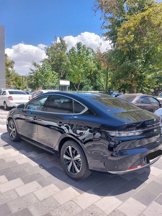 Byd chazor gibrit