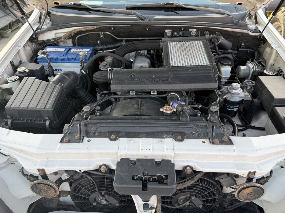 Hyundai Terracan 2001 гола