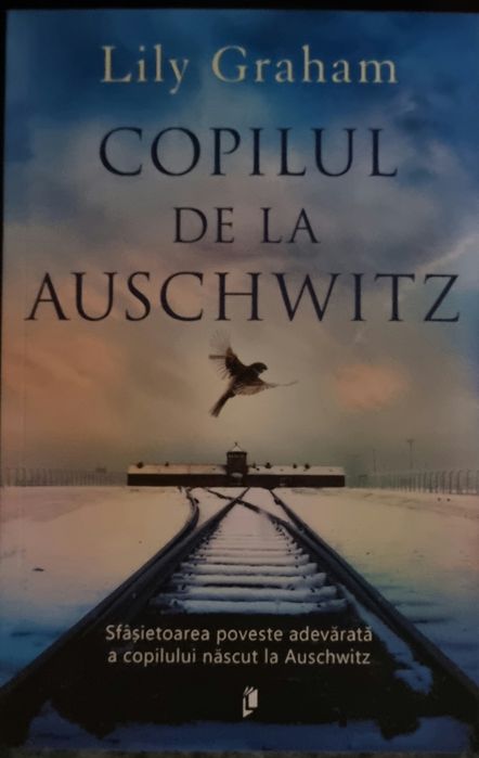 Povestitoarea de la Aushwitz, Copilul de la Aushwitz