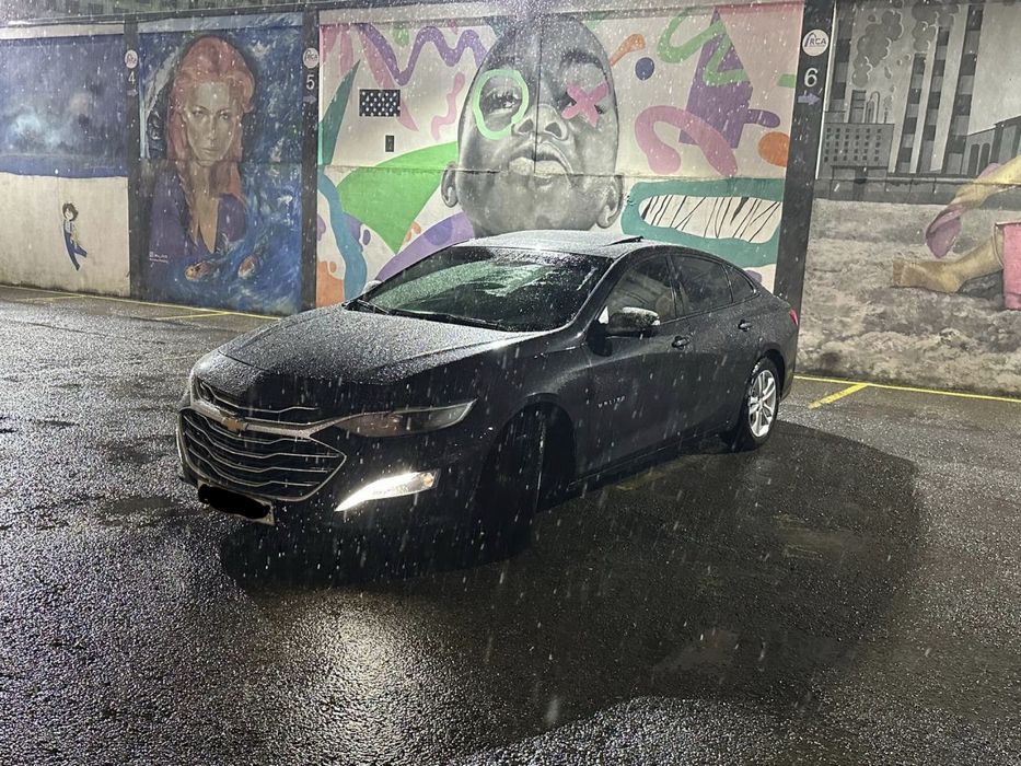 Malibu Arendaga Tozza