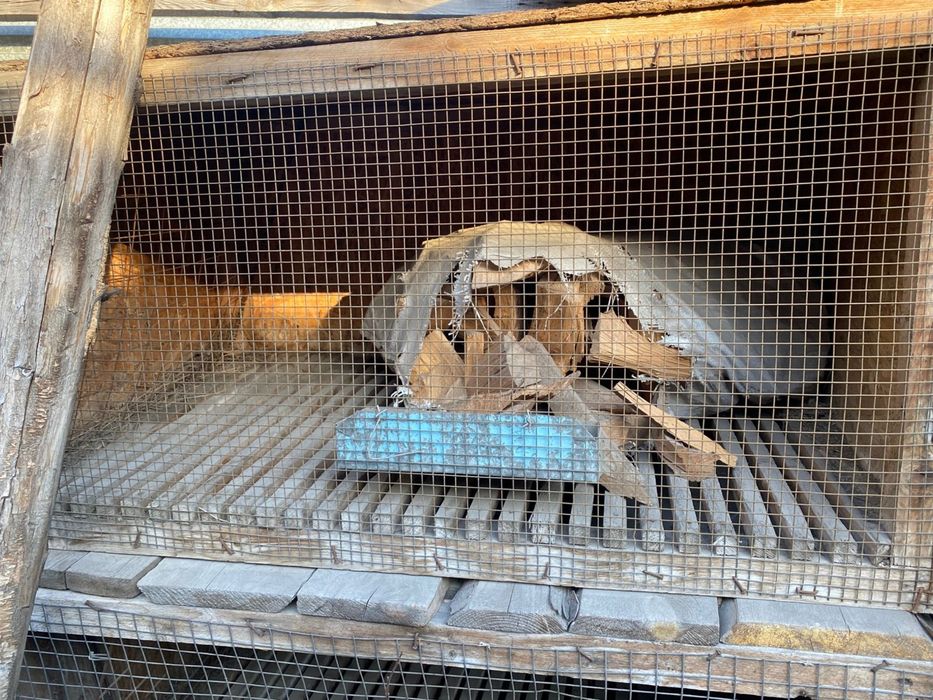 Продам Клетки кроличьи