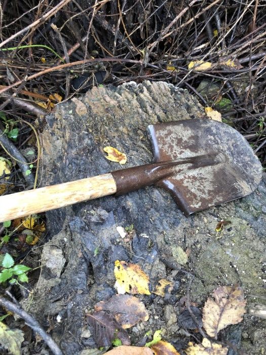 Дънер орех, в добро състояние