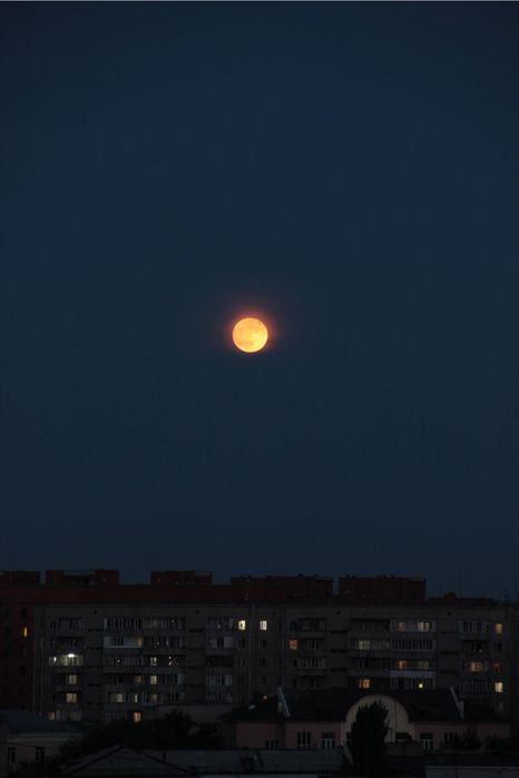 Фотоаппарат Canon EOS 550d