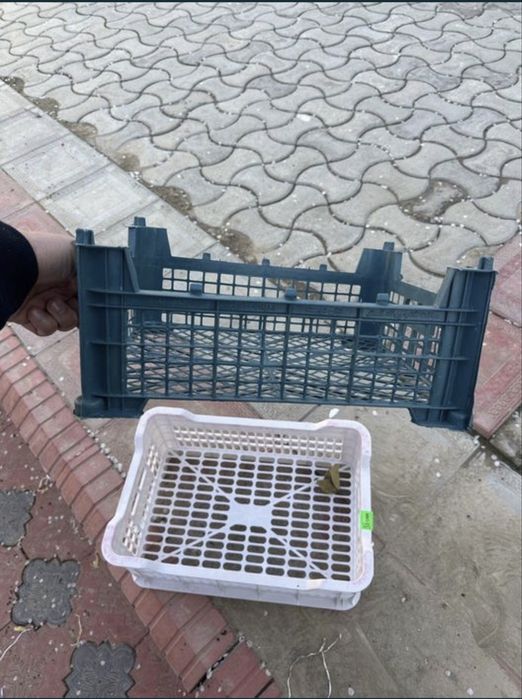 Яшик арзон нархда