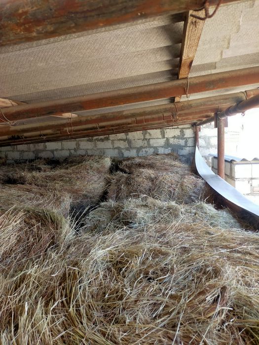 Рулон шөп сатыдады