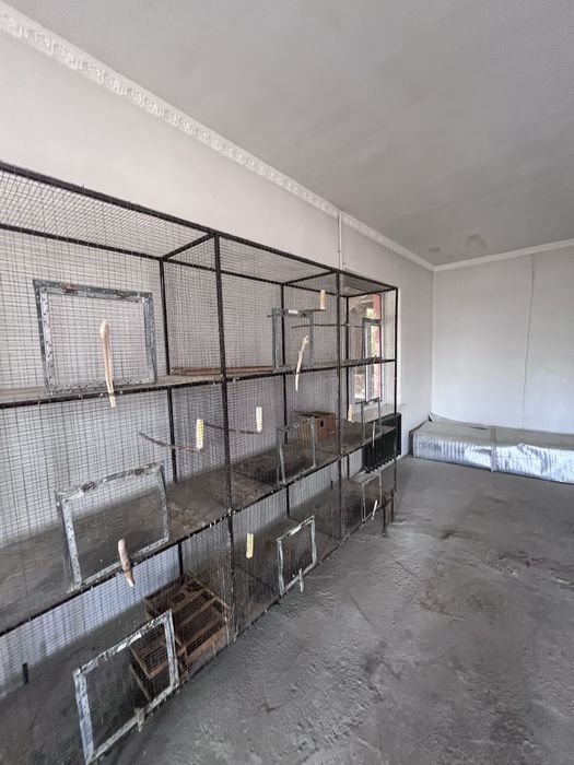 Papugay lar uchun qafas