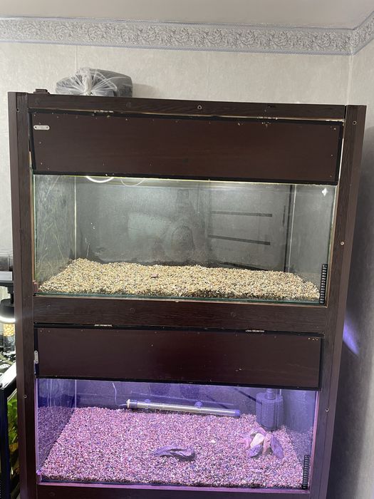Аквариум вместе с стеллажом