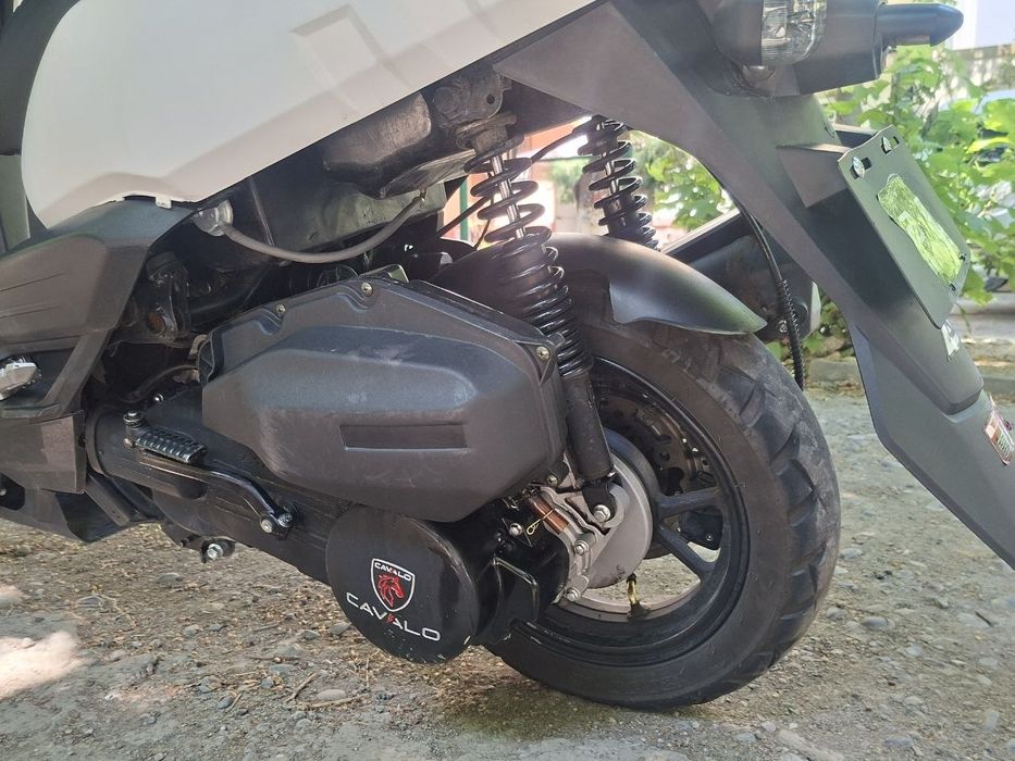 Tank1 cavalo holati ideal
