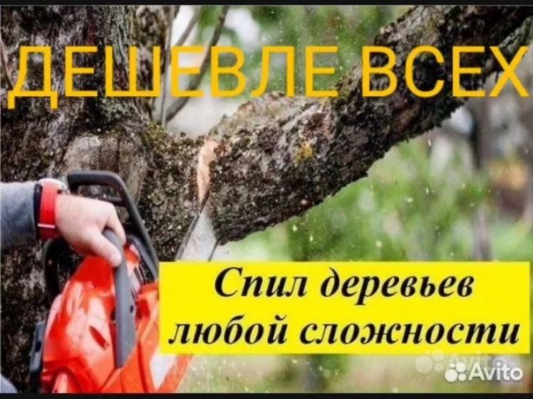 Спил распил деревьев любой сложности