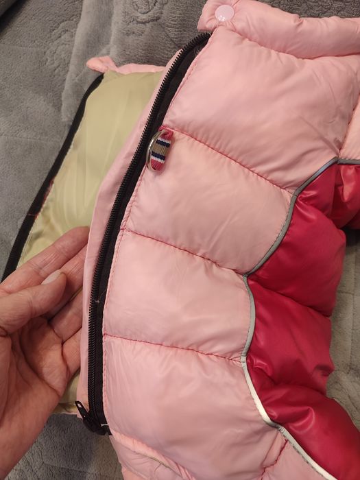 Зимний комбинезон для собаки.