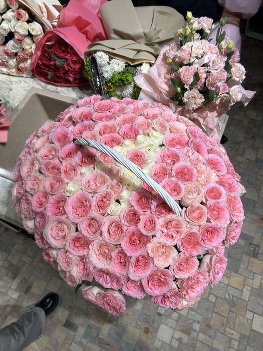 Продаю цветы срочно