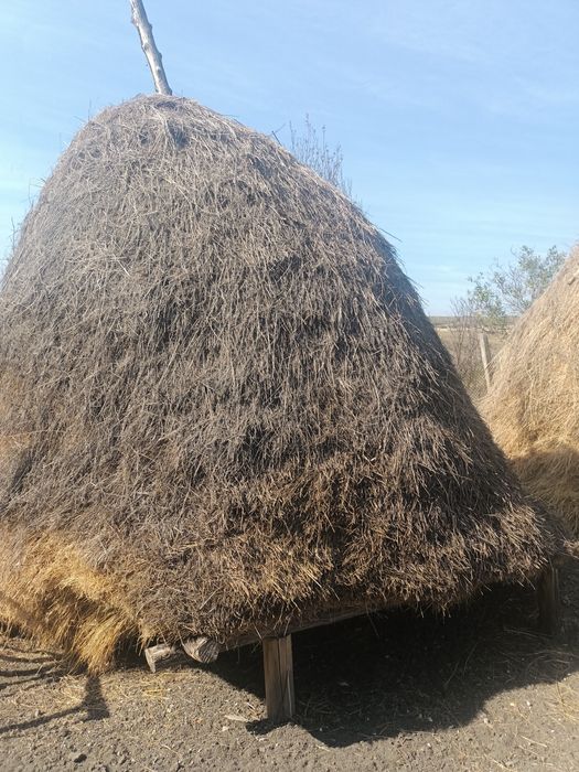 Clai de vânzare cu fan și lucerna