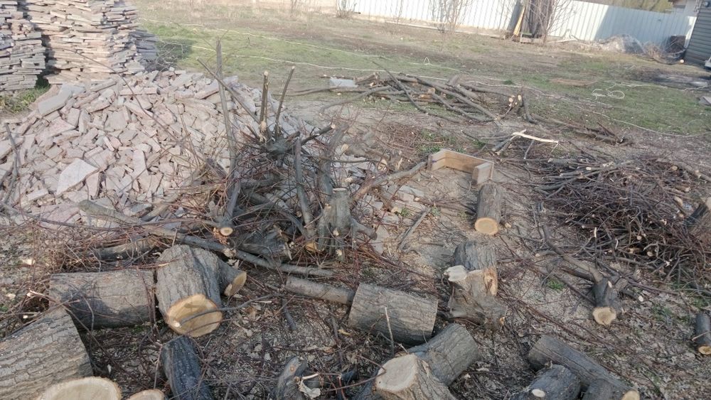 Продам дрова, Дуб.