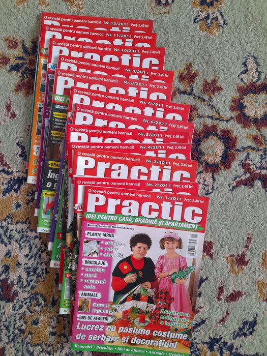 Reviste Practic pentru casa gradina și apartament 2008-2016 106numere