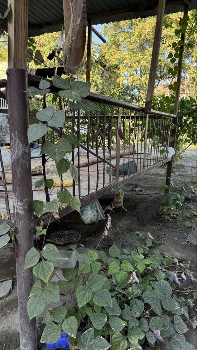 Продам Тапчан, Тапшан сатылады