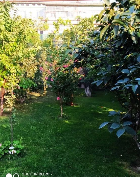 Продается дом