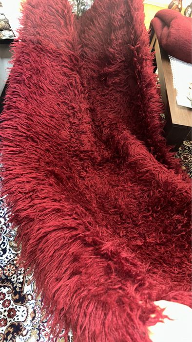 Китеник с дълъг косъм- бордо